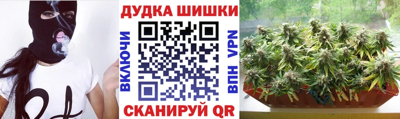 blacksprut ссылка Калач Канабис сатива где можно купить